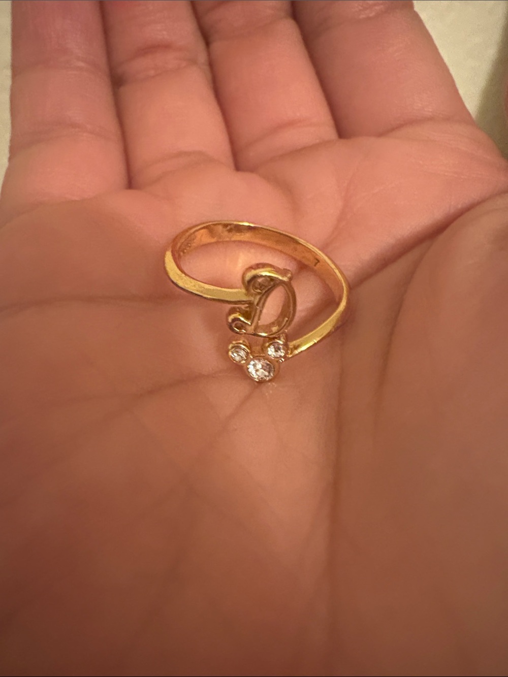 Disneyland D ring
